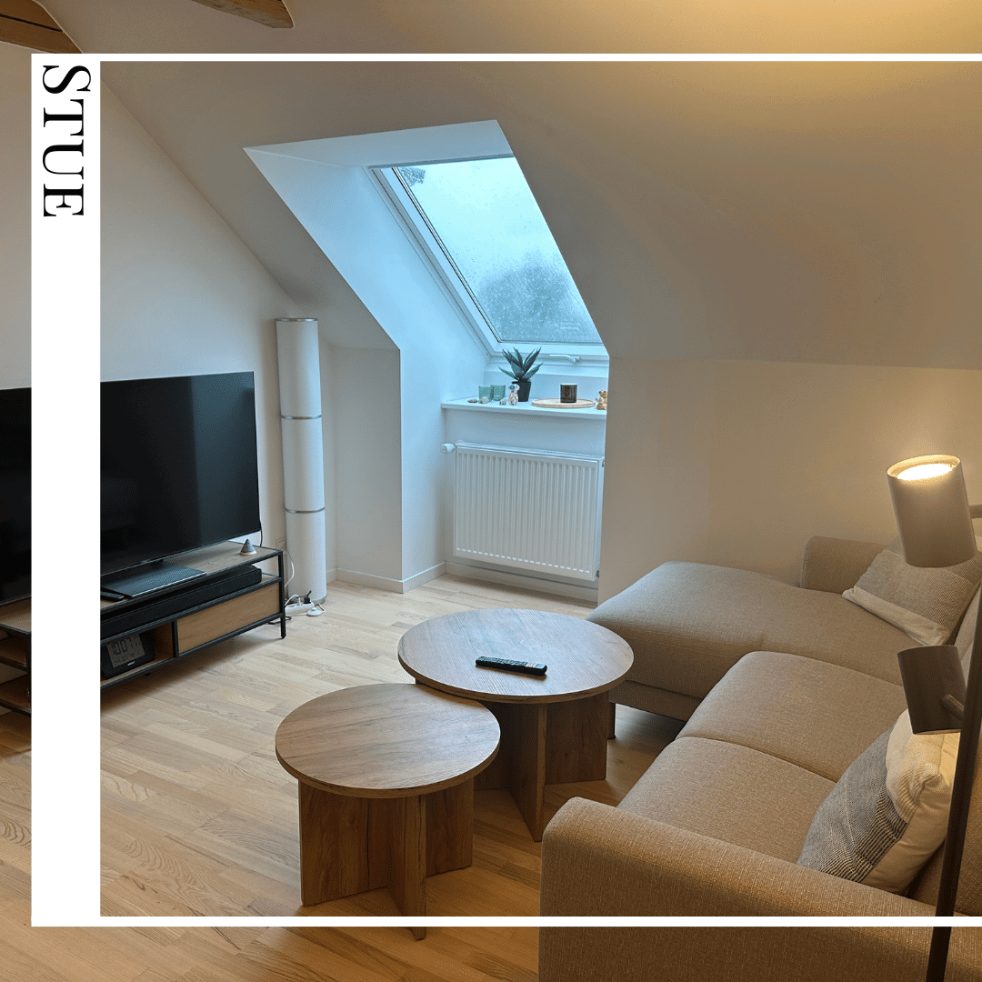 apartment Charmerende taglejlighed 3 værelser i Ringsted
