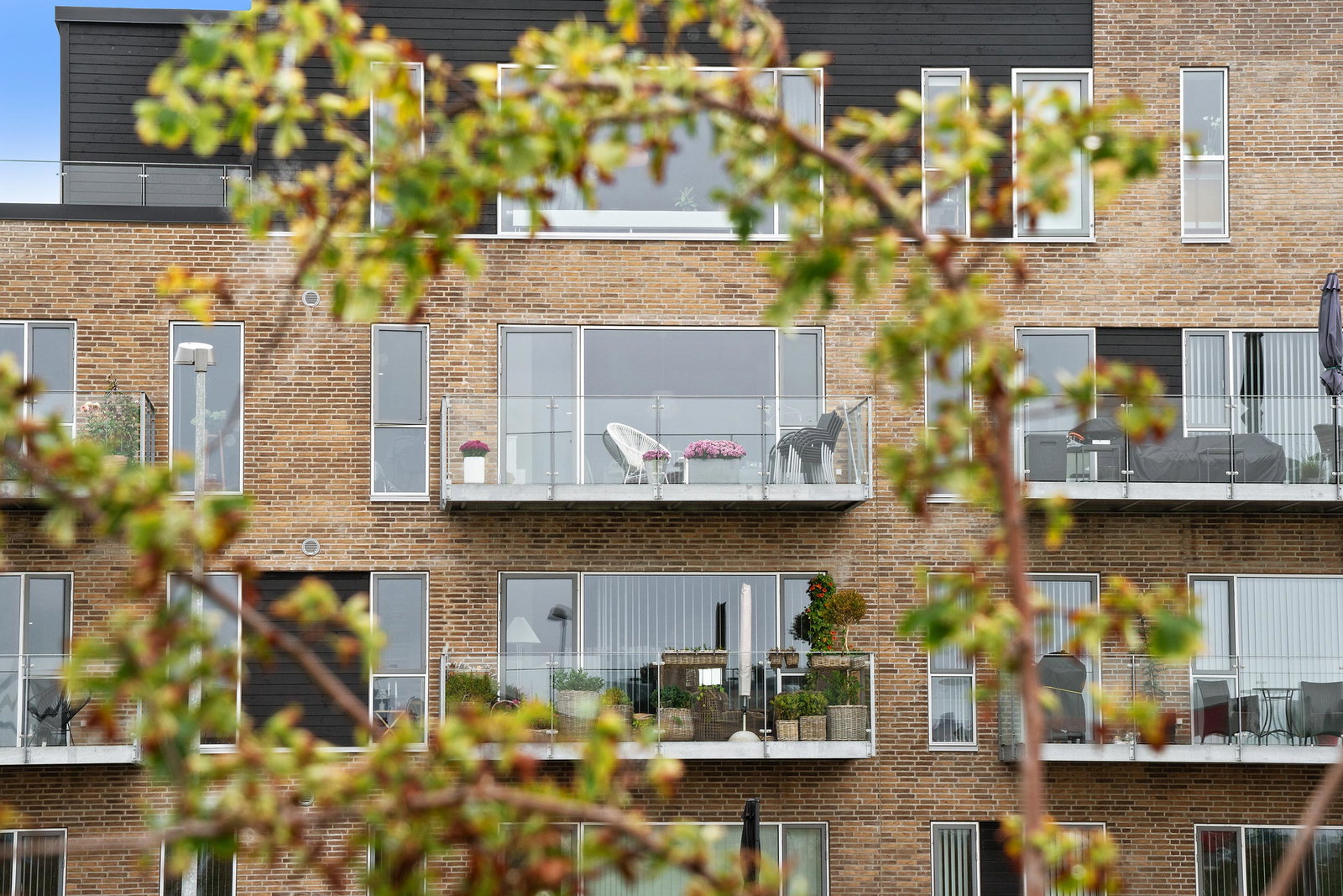 apartment Lejlighed i Hasserisparken