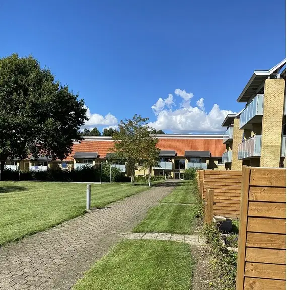 apartment Tidsbegrænset lejemål