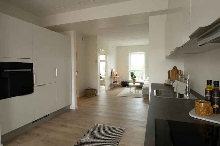 Moderne lejligheder i Viborg centrum - Vilhelm Ehlerts Alle, Viborg - 2
