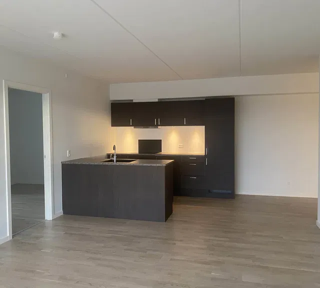 apartment Bispetorv 6.5.32 4 vær. i centrum!