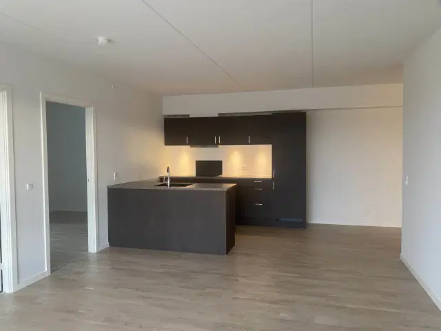 apartment Bispetorv 6.5.32 4 vær. i centrum!
