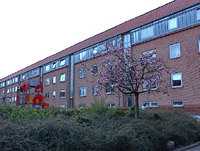 apartment Familiebolig - Anemonevej