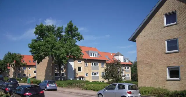 apartment Tidsbegrænset lejemål