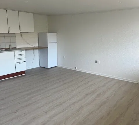 apartment Lækker 1-værelses