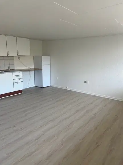 apartment Lækker 1-værelses