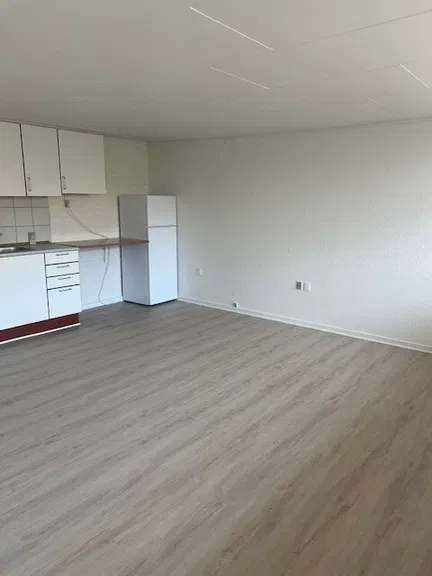 apartment Lækker 1-værelses