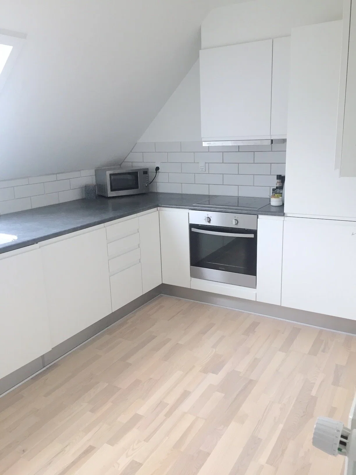 apartment Renovated 2-room apartment, pets allowed