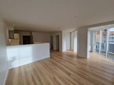 apartment Lys, nyrenoveret lejlighed centralt i Holstebro