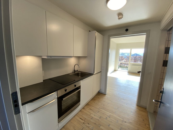 1-værelses lejlighed med privat terrasse i Hjallese - Hjallesegade, Odense S - 0