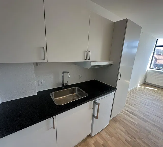 apartment Central, nyrenoveret 1-værelses lejlighed