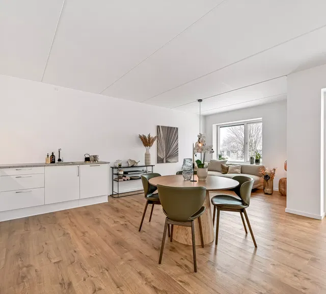 apartment 15 nye og velindrettede lejeboliger