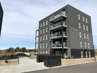 Velindrettet 3-værelses lejlighed med terrasse - Sct Knuds Park, Hjørring - 1