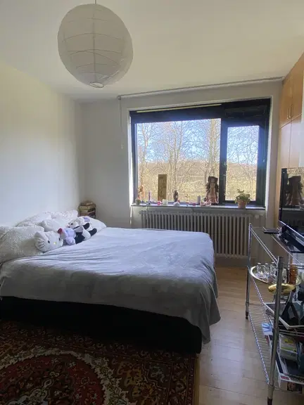 room Kollegieværelse til leje / Dorm room for rent