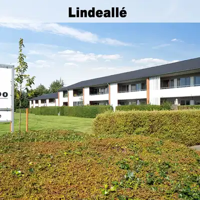 apartment Forskellige lejeboliger i Vildbjerg og Vind