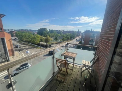 🏡Room Available in a Spacious Apartment - Vejle City Center 🏡 - Vestre Engvej, Vejle - 3