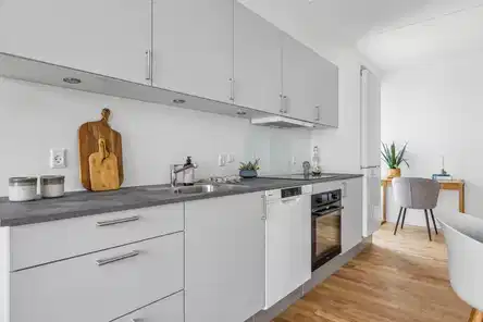 apartment Lys 3-værelses lejlighed med altan og tagterrasse