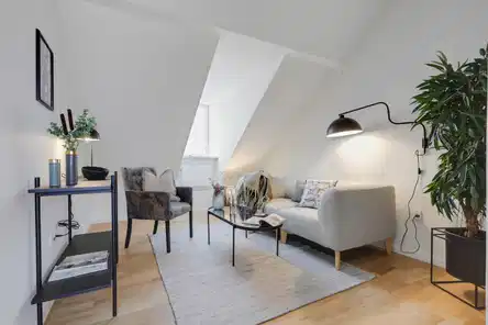 apartment Charming 4-room top-floor apartment with roof terrace