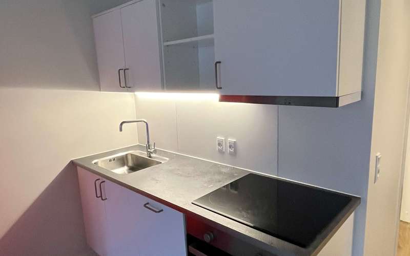 apartment Charmerende 1-værelses ved Sømosen