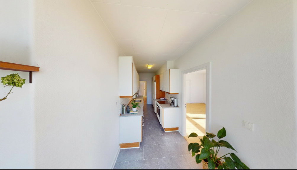 apartment Bright and spacious 3-room apartment in the center of Aalborg