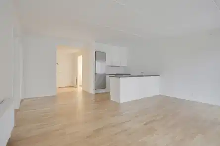 apartment Bright and spacious 4-room apartment on Kildevældet