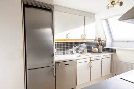 apartment Stor delevenlig taglejlighed i Aalborg centrum