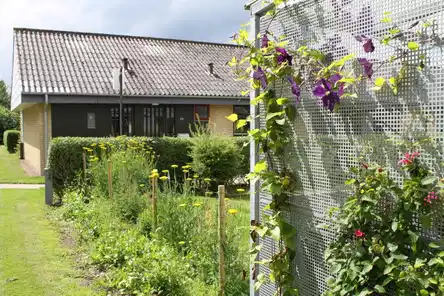townhouse Lækkert rækkehus/hus med 3 vær i Brovst