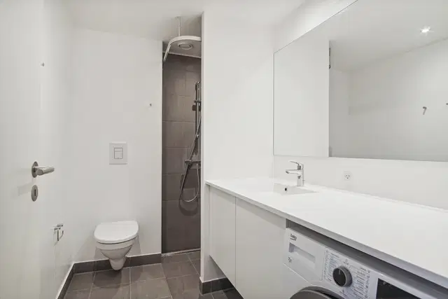 apartment 3-room apartment with excellent facilities
