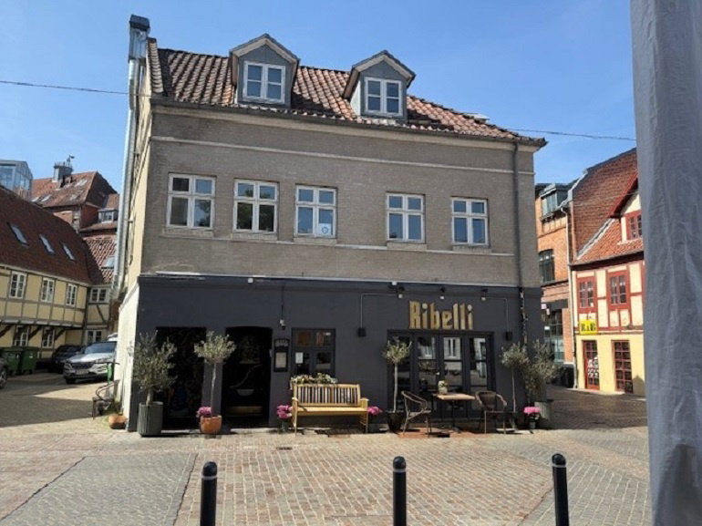 apartment Lys 3-værelses lejlighed i Odense C