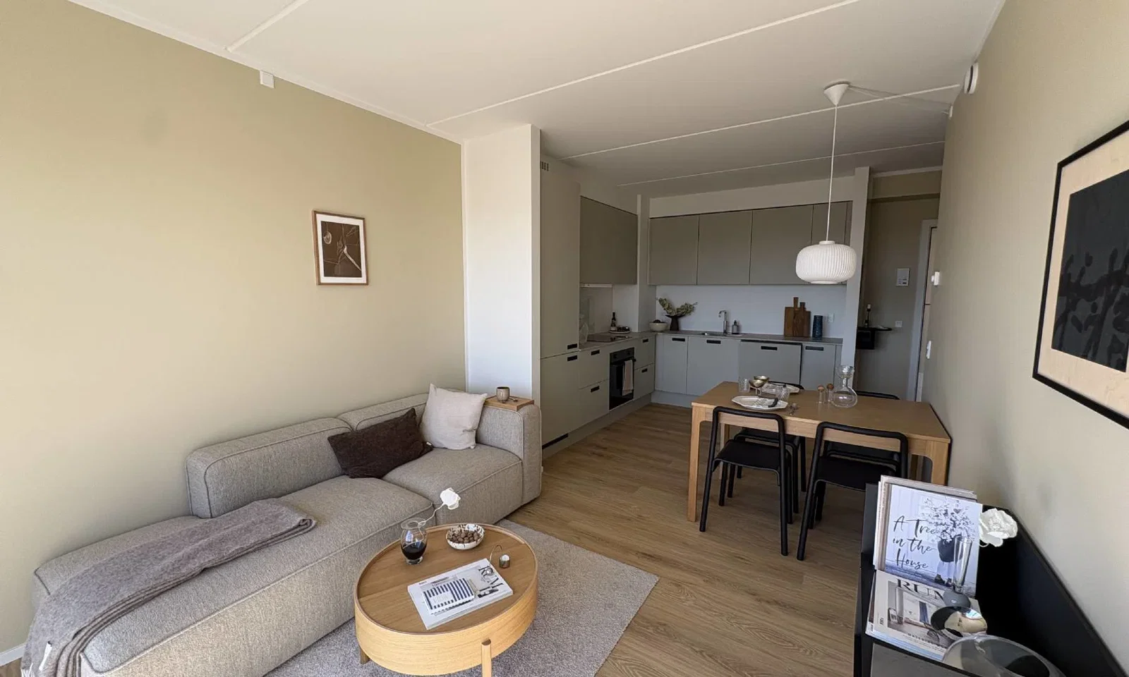 apartment 2-værelses på 3. sal med sol hele dagen på altanen