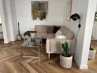 apartment Nyrenoveret 4-værelses lejlighed med video og husdyr
