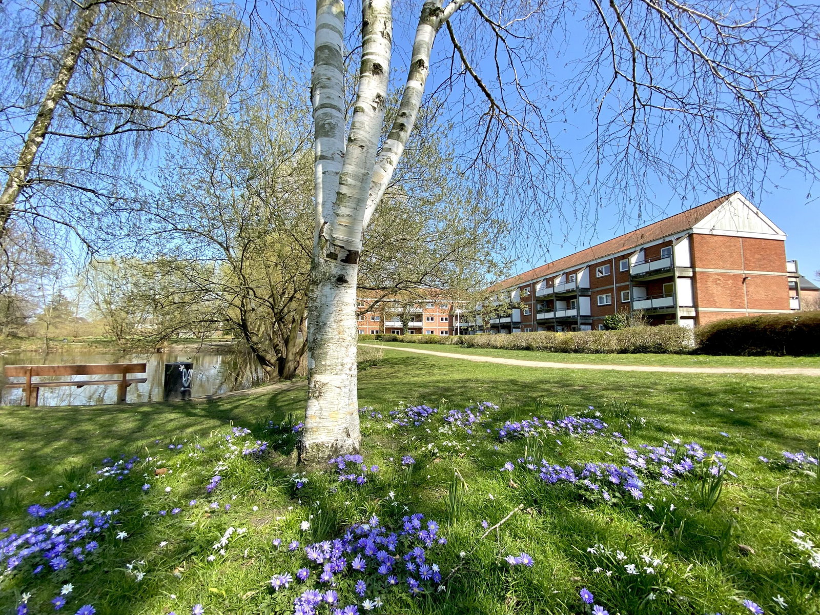 apartment Seniorvenlig 2-værelses, 74 m² i Odense C