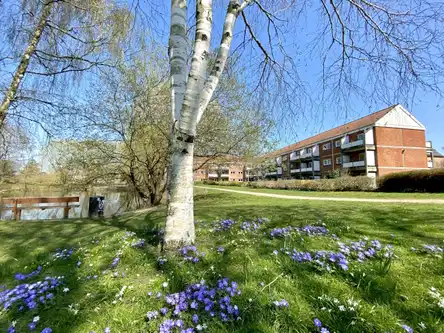 apartment Seniorvenlig 2-værelses, 74 m² i Odense C