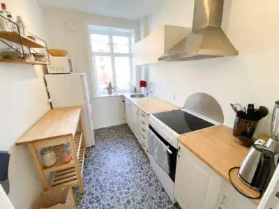apartment Spacious two-room apartment with view of Østre Anlæg