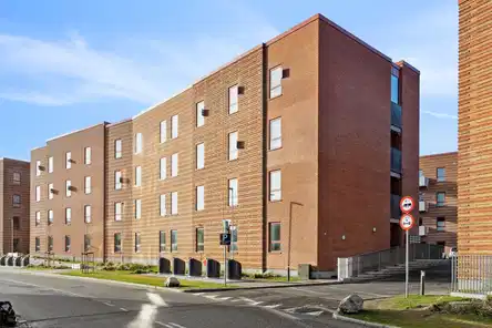 apartment Stylish apartments near the city's pulse