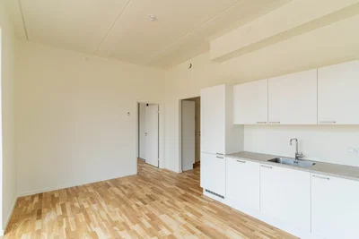 The New Building 2-Room Apartment Near Amager Strandpark - Yderlandsvej, København S - 1