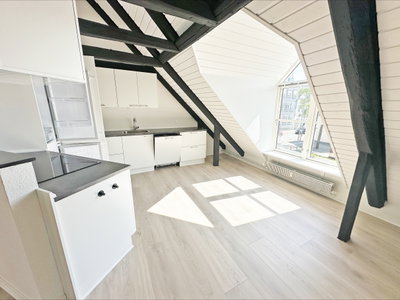 Charmerende og moderniseret lejlighed centralt i Viborg - Ll. Sct. Hans Gade, Viborg - 3