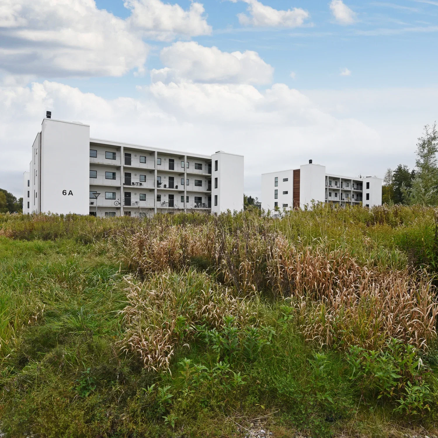 apartment 64 bright rental apartments on Vejlevej close to green spaces