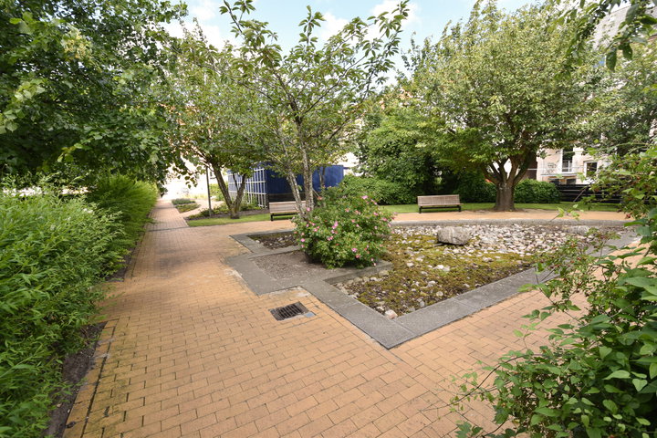 Lys 2-værelses lejlighed på 66 m² i Vestbyen - Dannebrogsgade, Aalborg - 0