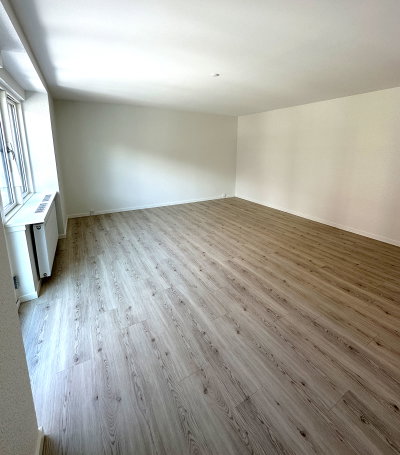 Nyrenoveret og moderne lejlighed på attraktiv beliggenhed! - Schleppegrellsgade, Aalborg - 2