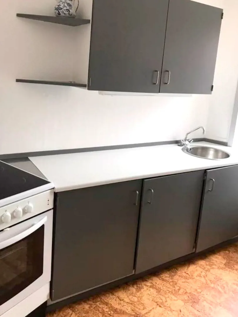 apartment Rummelig 1-værelses lejlighed i Øgadekvarteret