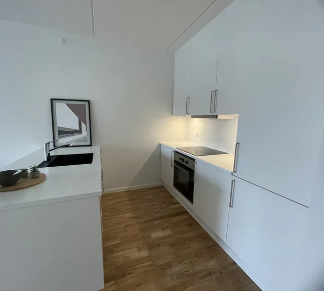 apartment 2-værelses i Viborg Centrum