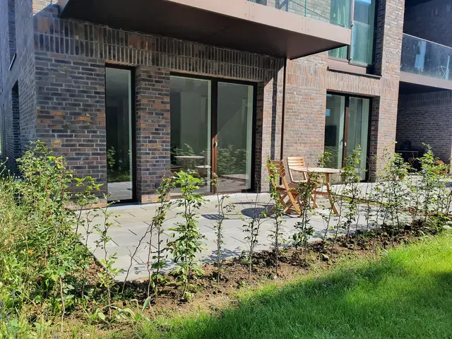 apartment Stor 2 værelses med skøn terrasse