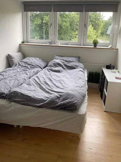 Lys 2-værelses lejlighed med attraktiv placering - Falen, Odense C - 1