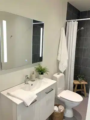 apartment Bright two-room apartment with a new kitchen and bathroom