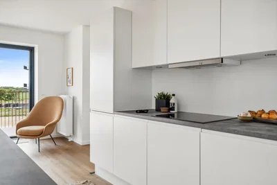 Nybyggeri med natur og centrum tæt på - John Steinbecks Alle, Aalborg Øst - 1