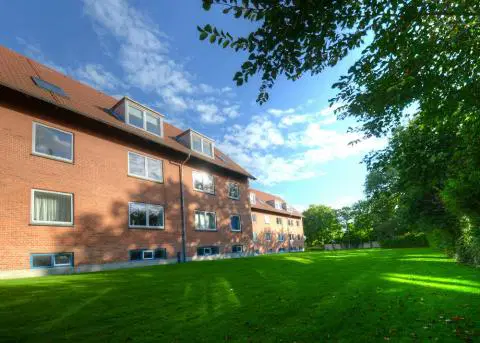 apartment 3-værelses lejlighed med indflytning 15. september 2026