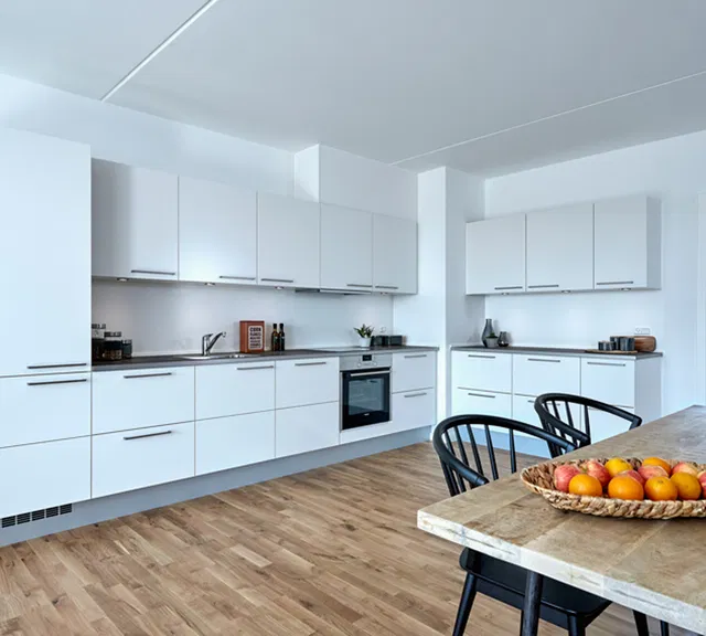 apartment Stor 4-værelses lejlighed i moderne CobraHave