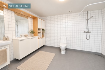 Visual presentation of the listing