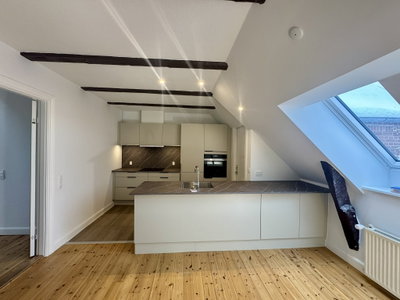 Renovated top-floor apartment centrally located by Lommeparken - Østerågade, Aalborg - 1